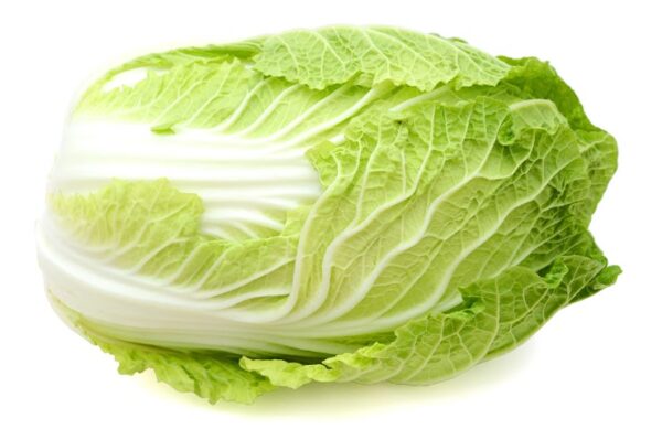 Chinese Cabbage