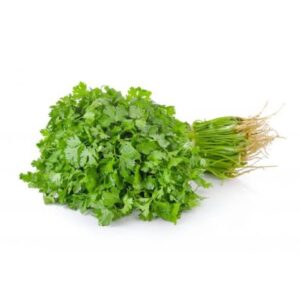 Coriander [Wansoy]