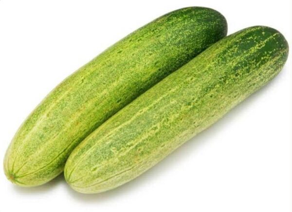 Cucumber [Regular]