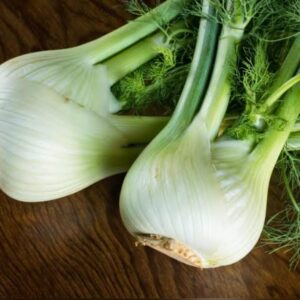 Fennel
