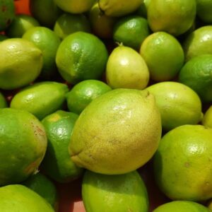 Lemon Green [local variety]