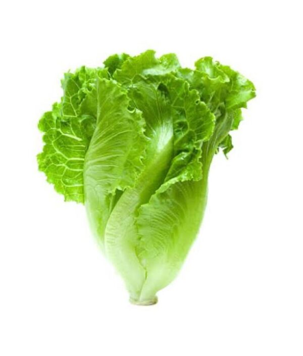 Lettuce: Green Ice