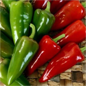 Bell pepper Sultan Big