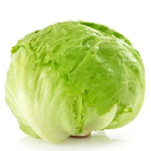 Lettuce: Iceberg