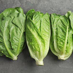 Lettuce: Romaine