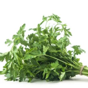 Parsley: Flat Leaf