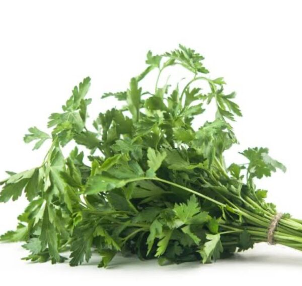Parsley: Flat Leaf