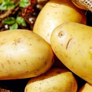 Potato: Jumbo [170-240g]