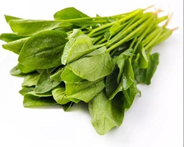 Spinach New Zealand