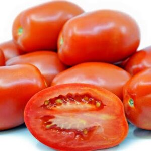 Tomato Roma
