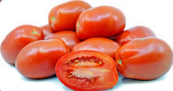 Tomato Roma