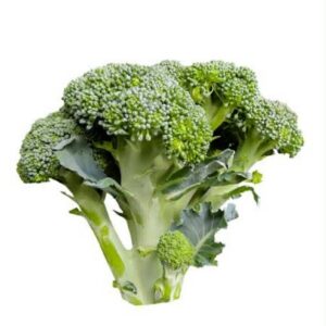 Broccoli Untrimmed