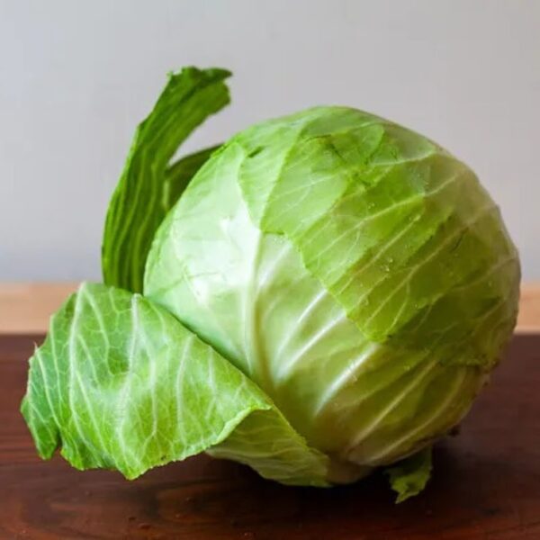 Cabbage