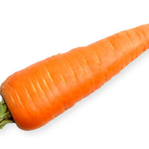 Carrot Big