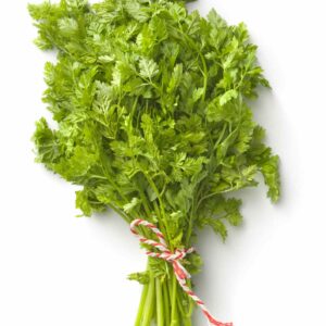 Chervil