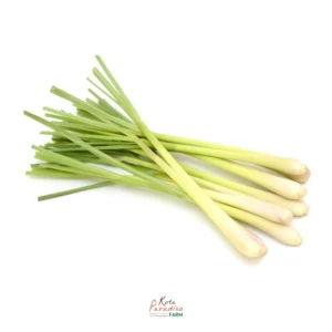 Lemon Grass