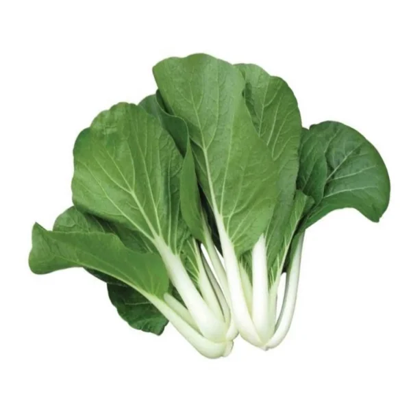 Chingkang