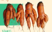 Carrots (lumpia)