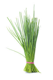 Chives