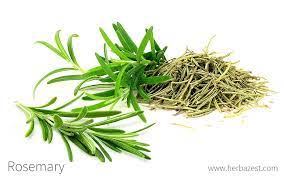 Rosemary